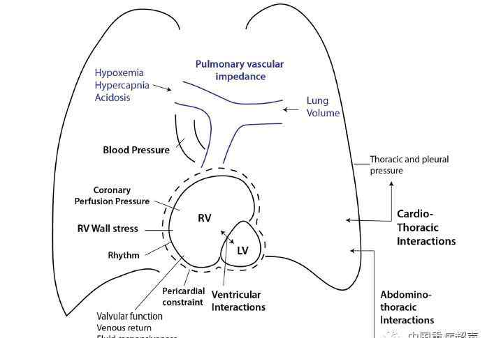 右心衰竭 右心衰竭的診斷、病因和管理（三）