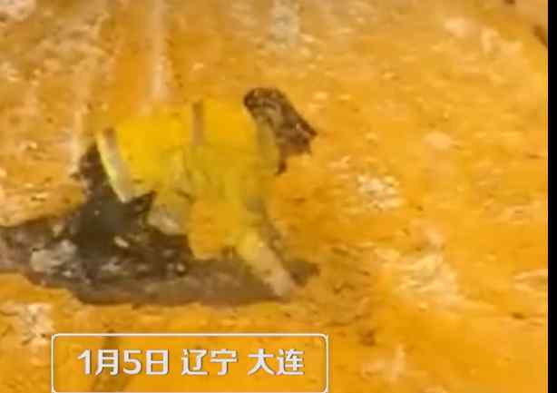 辛苦了！大連交警跪地鏟雪為車輛開路 拍攝者否認是擺拍