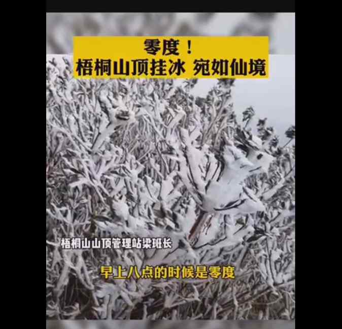 廣東加入下雪“群聊” 深圳梧桐山出現(xiàn)霜凍 網(wǎng)友：難得啊！