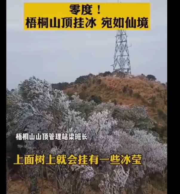 廣東加入下雪“群聊” 深圳梧桐山出現(xiàn)霜凍 網(wǎng)友：難得啊！