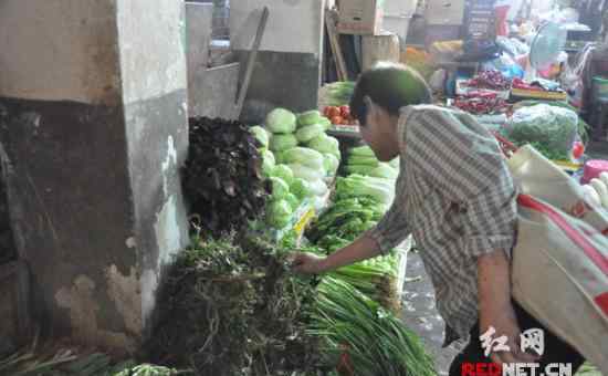 路邊荊 長沙人入伏愛吃雞 叫雞和路邊荊成搶手貨