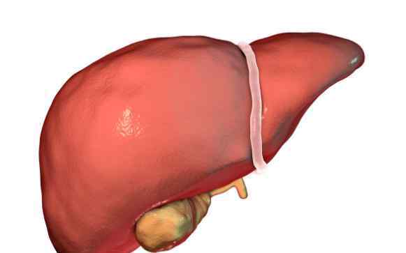 谷丙轉(zhuǎn)氨酶高是怎么回事 谷丙轉(zhuǎn)氨酶偏高是怎么回事？一定是肝臟出問題了嗎？辟謠來了