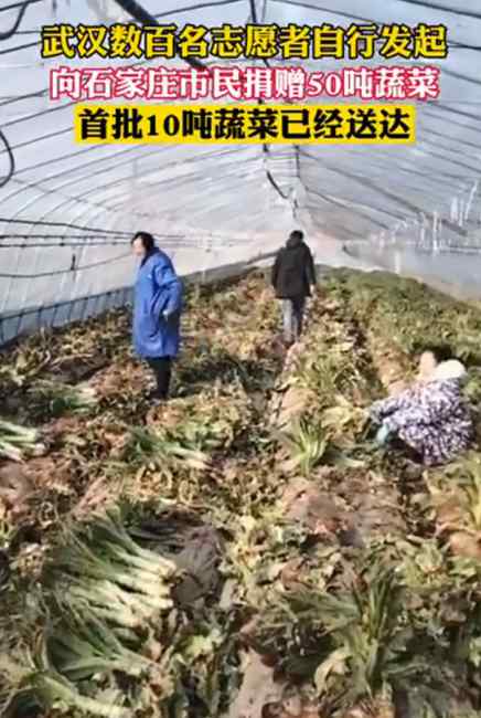 武漢向石家莊捐贈50噸蔬菜 網(wǎng)友：“熱干面”為“缸爐燒餅”加油！