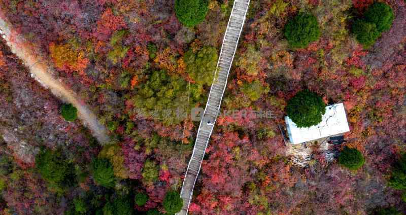 仙臺(tái)山 多圖｜仙臺(tái)山紅葉 驚艷八百里太行