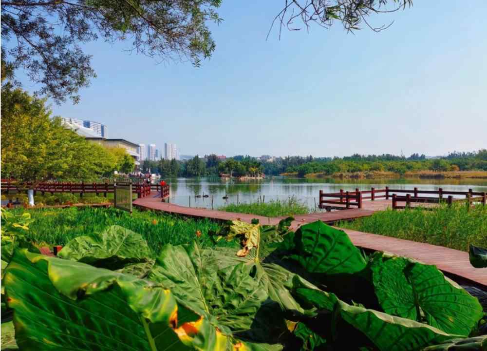 廈門白鷺洲公園 福建耗資1億的公園，被稱廈門“后花園”，門票免費(fèi)不輸白鷺洲