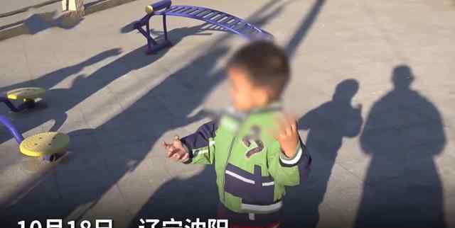 沈陽育兒嫂 遼寧4歲男童人沒要？母親托育兒嫂撫養(yǎng)后失聯(lián)：他媽上大學(xué)時(shí)生的