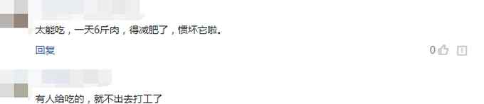 被放生禿鷲又飛回警局求投喂 每天6斤肉伙食費150元！民警直呼養(yǎng)不起