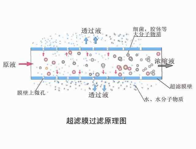 微米的意思 0.01微米什么概念？?jī)羲饕渤尚W(xué)了嗎？