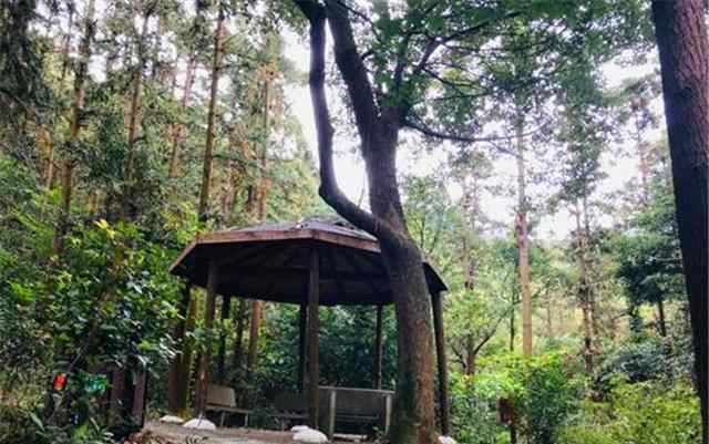 寧波天童寺 寧波的一座千年古寺，與天童寺齊名，為何如今無人問津？