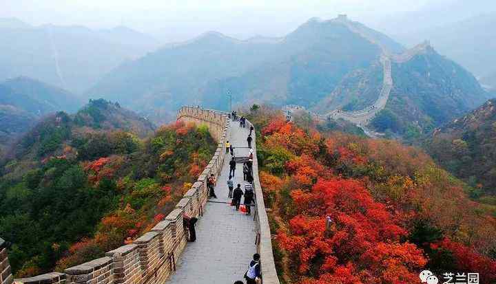 霜月紅于二月花 【人物志】呂安太丨霜葉紅于二月花