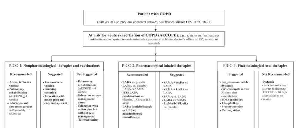 aecopd AECOPD國(guó)內(nèi)外指南有啥不同？協(xié)和專家這樣說(shuō)……