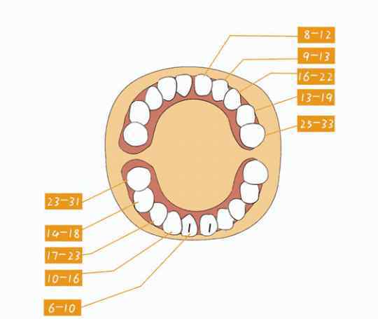 老一輩說寶寶太早長牙大兇 “富貴晚出牙”，孩子出牙越晚越好？超過這個點就要警惕了