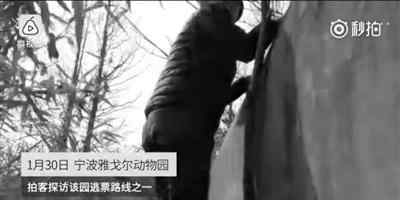 寧波事件 寧波老虎咬人事件后續(xù)：死者親戚認(rèn)為園方有責(zé)任