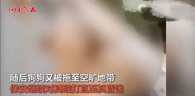 云南2保安持棍暴打14歲金毛犬 畫面令人氣憤！主人：治好也殘廢