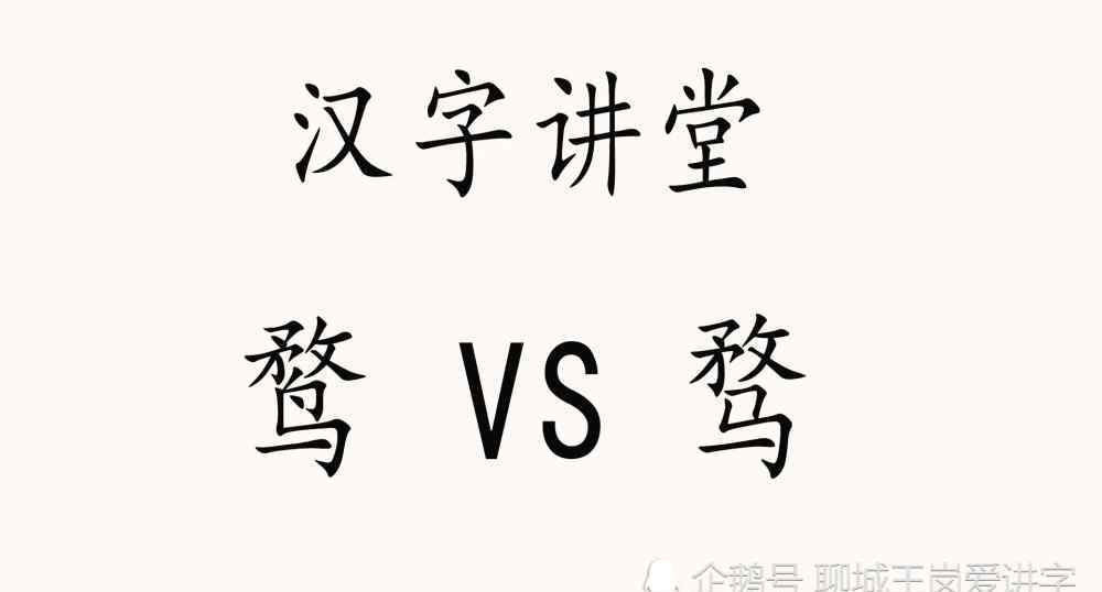 騖與鶩的區(qū)別 漢字課堂：“鶩”和“騖”有什么區(qū)別？一只野鴨，一匹馬