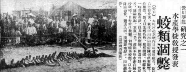 龍骨事件 1934年“營口墜龍”事件：到底是真是假？老人上交龍骨揭開實情