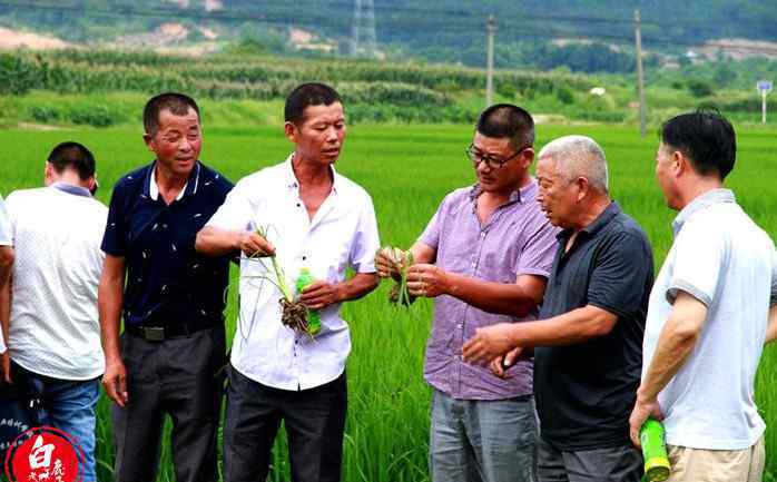 高級職業(yè)農(nóng)民 年薪15萬  農(nóng)村中高級職業(yè)農(nóng)民成為搶手資源  你還在觀望嗎