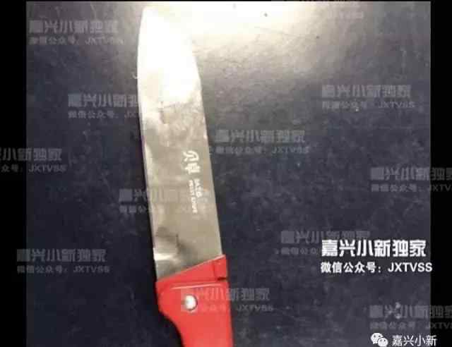 成都女子霸王硬上弓 嘉興按摩店女技師被砍真相：對方想霸王硬上弓