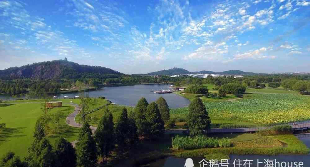 佘山月湖公園 佘山森林公園獨(dú)棟別墅，容積率僅0.19，8米挑高客廳，超大私家花園