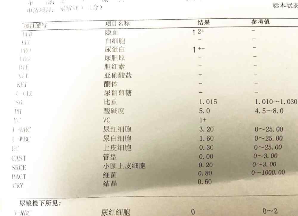 腎穿刺的利與弊 肌酐135，尿蛋白3+，復(fù)查不利一度絕望...我想對(duì)每一個(gè)掙扎中的腎友說(shuō)