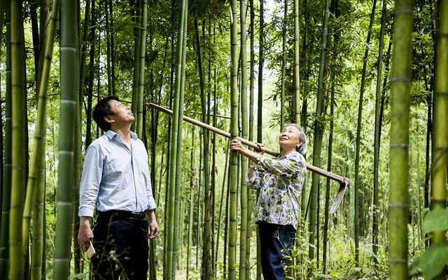 鄉(xiāng)親直供 鄉(xiāng)村基包下一整座山，只為你嘗一口春天的鮮筍