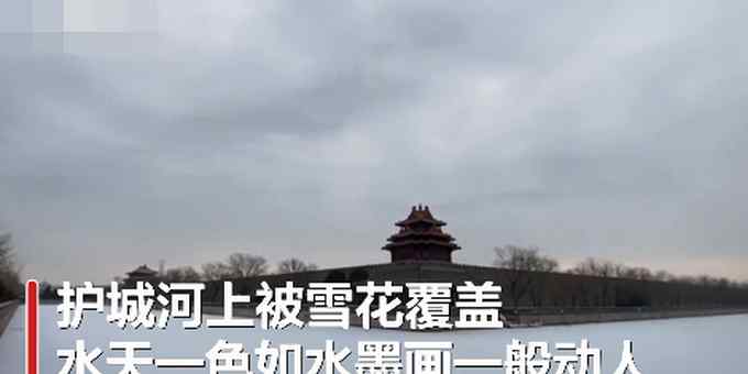 “故宮的雪”刷屏 恍若穿回紫禁城！網(wǎng)友：又是沒(méi)搶到票的一年