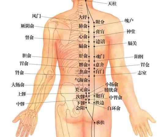 艾灸止咳哪個(gè)位置圖片 艾灸這個(gè)穴位竟然可以治療風(fēng)寒咳喘，不知道的趕緊看看！