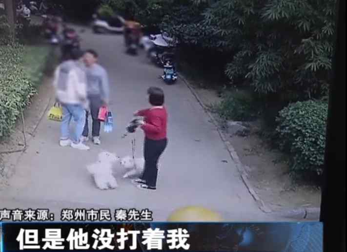 鄭州一男子被狗嚇住 卻遭狗主人暴打！狗主人：給狗道歉