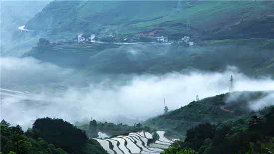 陽明山公園 [永州]陽明山國家森林公園