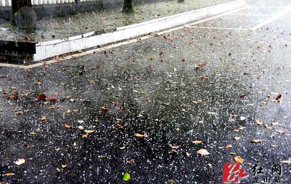 龍山紅網(wǎng) 湘西龍山下起了冰雹 29日還將現(xiàn)風雨天氣