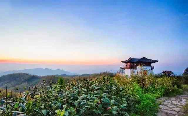 茶園 中國最美的10個茶山茶園，不喝茶也要去一趟！