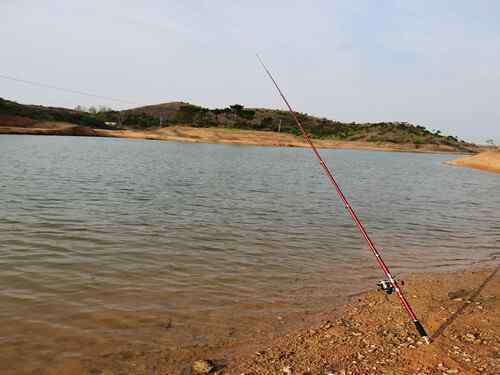 用什么餌料釣草魚 自然水域用什么餌料釣草魚最好？記住這三點，選對野釣草魚的餌料