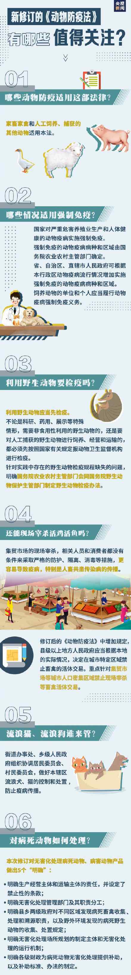 周知！遛狗拴繩入法 網(wǎng)友：支持 這是對大家都負(fù)責(zé)