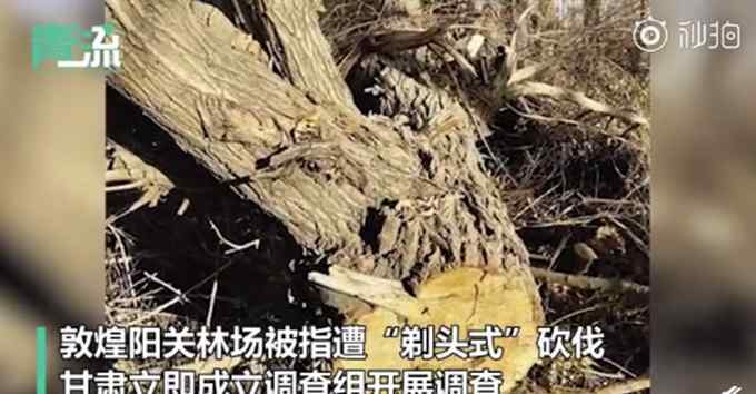 環(huán)境部回應(yīng)敦煌防護林被毀事件：如有失職將嚴肅問責