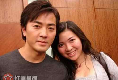 鄭伊健蒙嘉慧結婚 鄭伊健為什么不要孩子 鄭伊健和蒙嘉慧感情好嗎