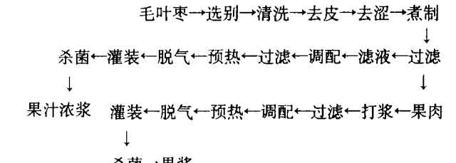 毛葉棗 毛葉棗果汁飲料配方加工技術的研究