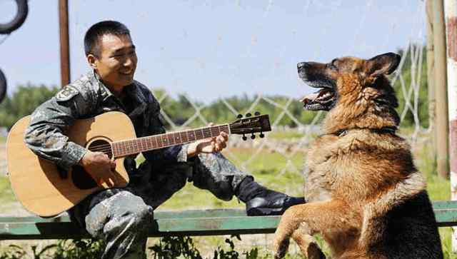 求你別走 退伍軍人要離開(kāi)，軍犬死死咬住他的行李，畫(huà)面感人淚下：求你別走