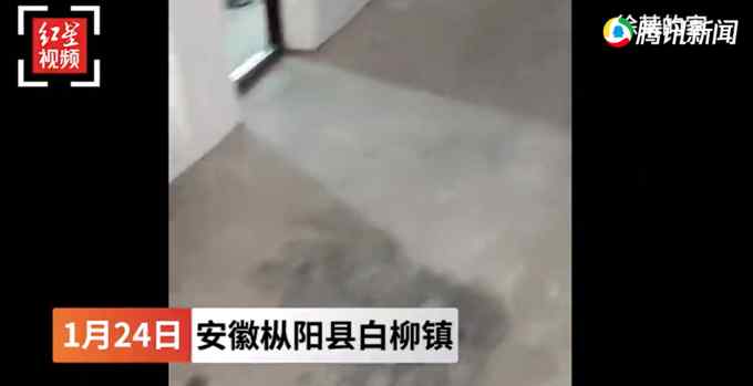 男子輸液半小時后死亡 家屬：護士丈夫“幫忙”輸液 1小時打了4瓶