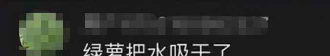 石家莊男子居家隔離23天 辦公室養(yǎng)了8年的魚(yú)竟成魚(yú)干了 水都蒸發(fā)了