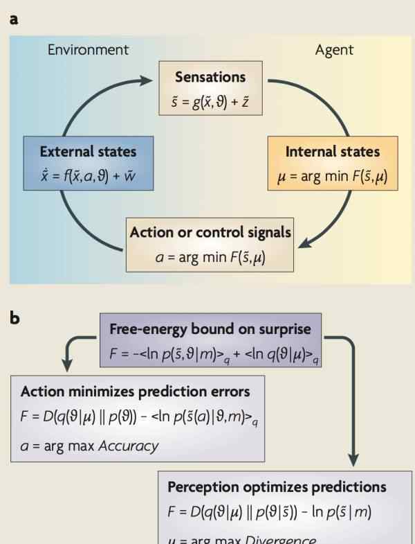 自由能 大腦的自由能假說-兼論認知科學與機器學習