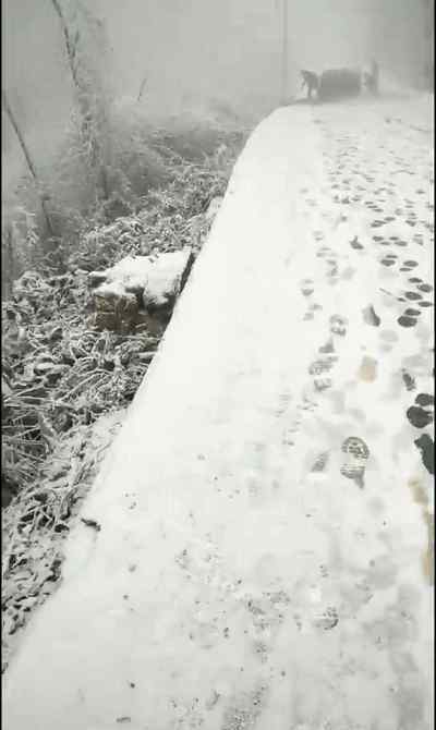 波霸圖 大波圖片來襲！畢節(jié)已是滿眼雪和冰霜，自成一道靚麗的風(fēng)景……