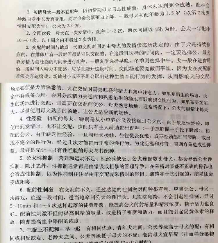 狗配種 狗狗配種的注意事項