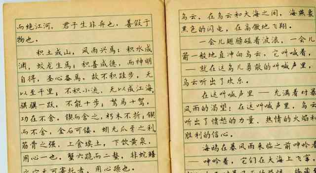 全國硬筆書法一等獎 1985年首屆硬筆書法一等獎獲得者林似春，其作品可以作為字帖