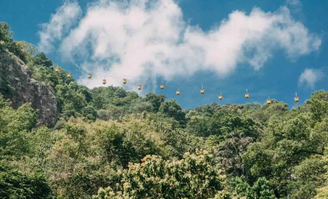 佛山哪里好玩 元旦去哪耍？這份佛山五區(qū)游玩攻略能幫到你→