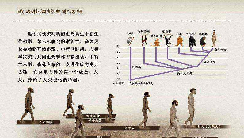 人類(lèi)的起源與進(jìn)化 《人類(lèi)源流史》人類(lèi)1∶人類(lèi)的起源，東非的發(fā)現(xiàn)