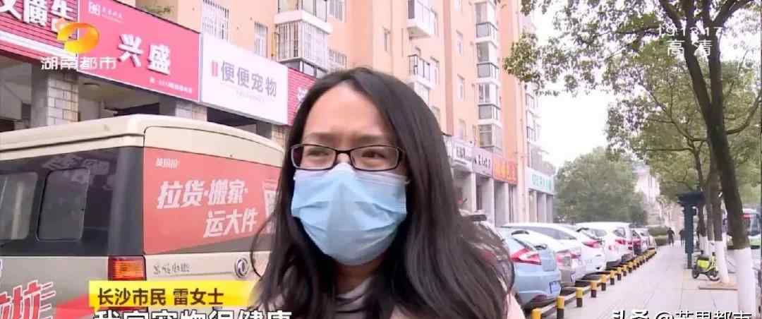 長沙一女士愛貓洗澡后殞命 寵物店回應：“一分錢都不會給你！”