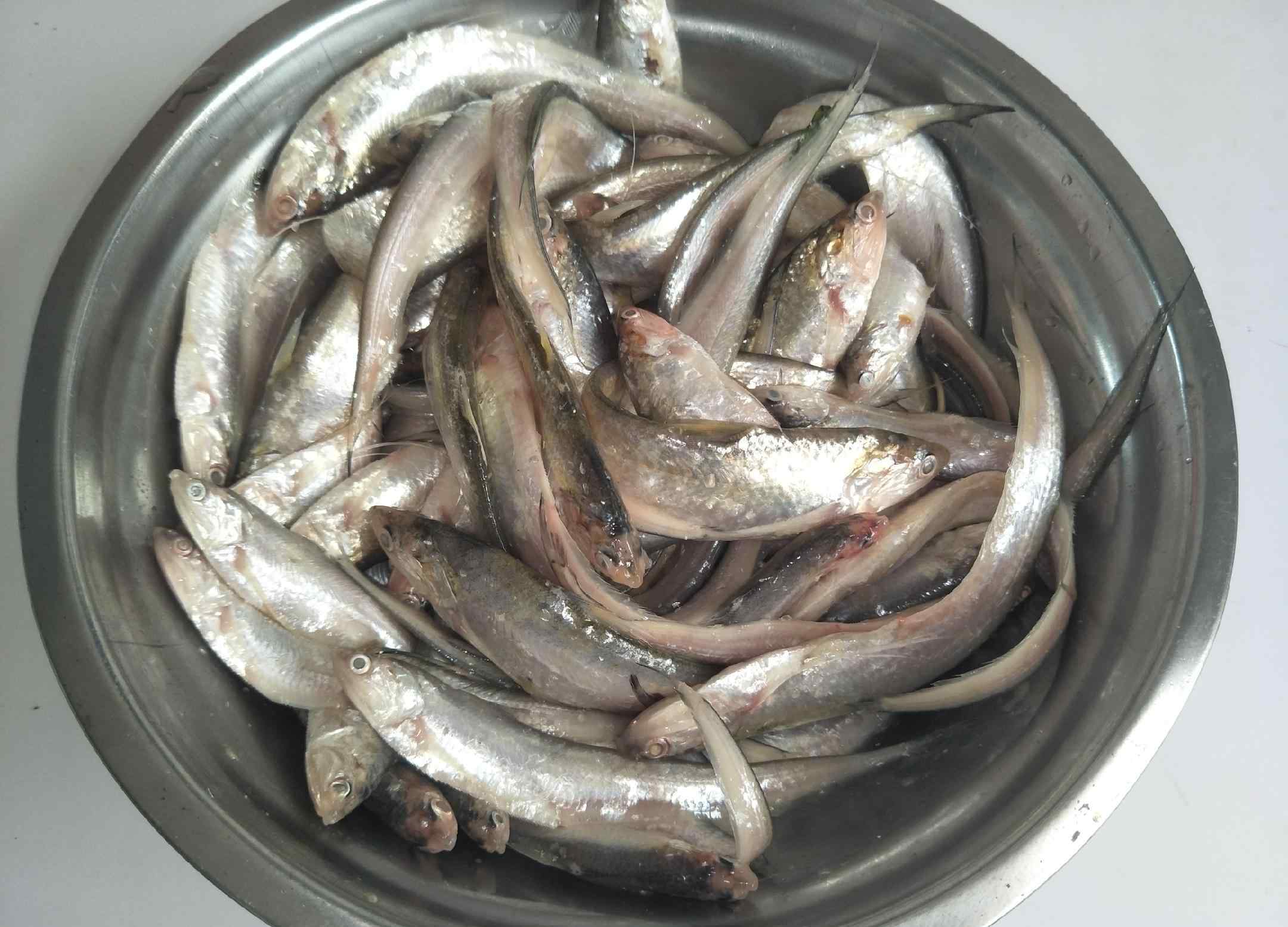 干炸小黃魚(yú)怎么做的 干炸小黃魚(yú)，怎樣才能又酥又香？不加面粉炸魚(yú)，又酥又好吃