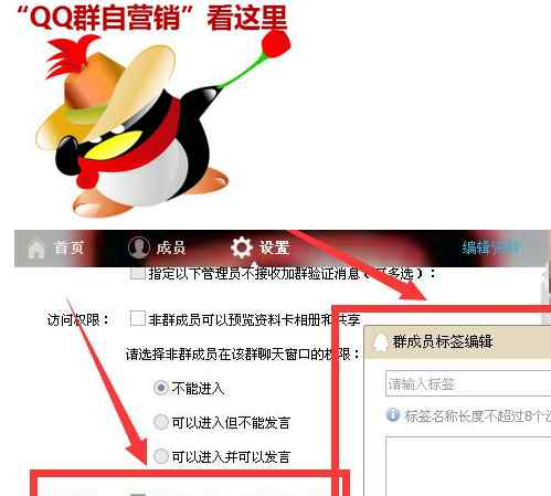 qq群標(biāo)簽 qq群標(biāo)簽怎么設(shè)置利于qq群營(yíng)銷推廣