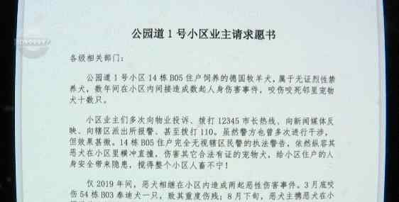 牧羊犬小區(qū)內咬死咬傷10多只同類！百余名業(yè)主求助 狗主人卻這樣做