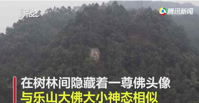 四川偏僻山村現(xiàn)樂(lè)山大佛孿生兄弟 當(dāng)?shù)卣簾o(wú)文物價(jià)值